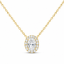 14K Yellow Gold 1/2 CTW Lab-Grown Diamond Oval Necklace, photo 1
