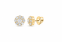 10K gold lab-grown diamond earring, supplier SKU 14192