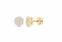 10K gold lab-grown diamond earring, supplier SKU 14194