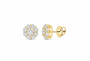 10K gold lab-grown diamond earring, supplier SKU 14197